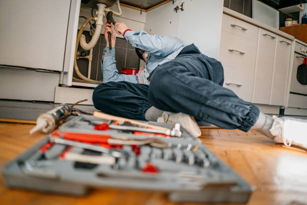 Best Sewer Line Repair  in Springerville, AZ