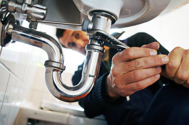 Best Plumbing Inspection Services  in Springerville, AZ