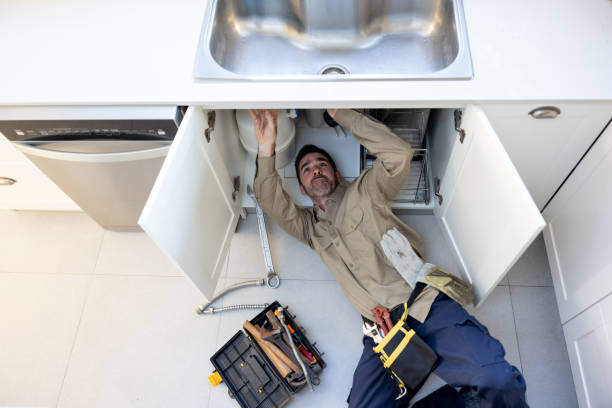 Best Drain Cleaning Services  in Springerville, AZ