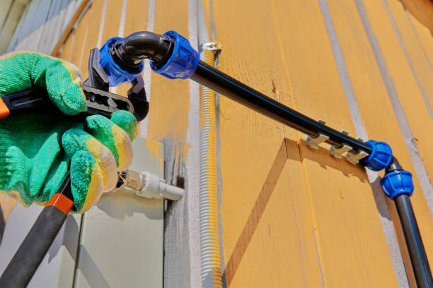 Best Affordable Plumbing Services  in Springerville, AZ