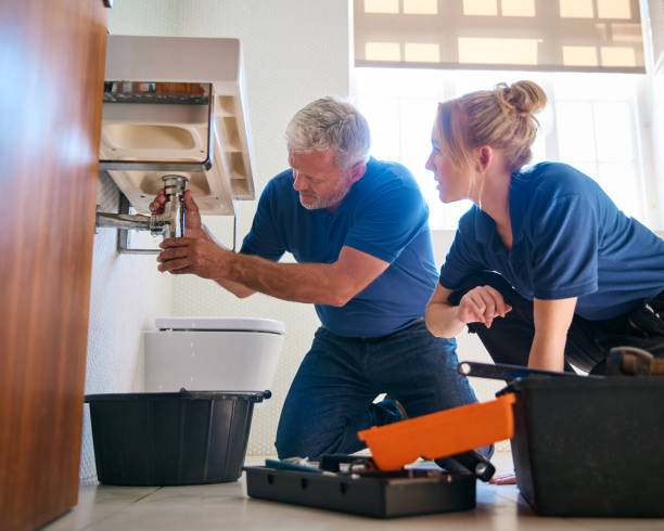 Best Clogged Drain Plumber  in Springerville, AZ