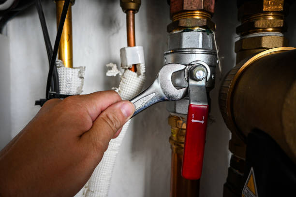 Best Residential Plumbing Services  in Springerville, AZ